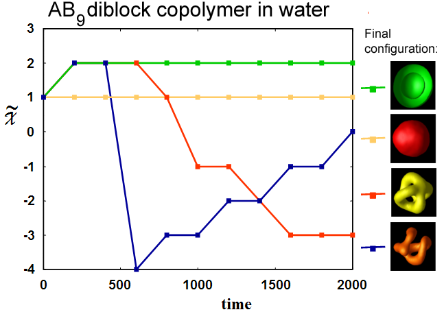 Left: Time evolution of Euler characteristic for various concentrations of AB9 diblock copolymer in water. Right: Corresponding final configurations