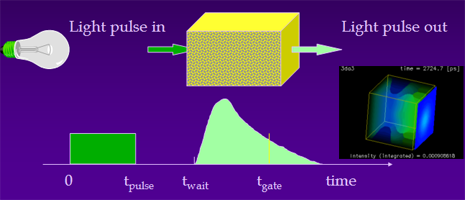 Schematic picture of a time-resolved optical imgaing set-up