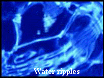 Water ripples