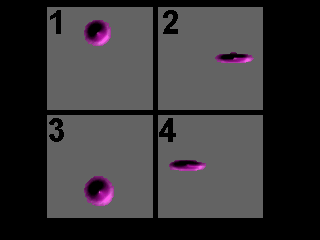 Sequence of snapshots illustrating the oscillation of the wave packet